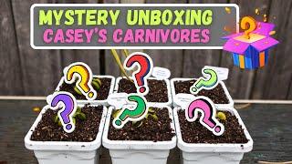 Mystery Venus Flytrap & Sarracenia Pitcher Pitcher Unboxing From Casey's Carnivores