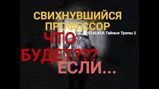 STALKER.Тайные Тропы 2-Что будет?ЕСЛИ-Свихнувшийся Профессор