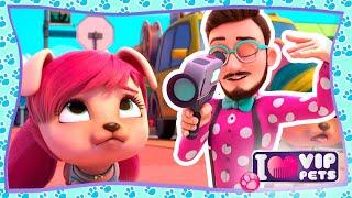  PETS DANCE WORLD   VIP Pets   s01e10  CARTOONS for KIDS in ENGLISH  CARTOONS for KIDS 