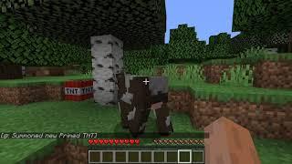 Minecraft But TNT Spawn On Me Every 10 Seconds!!!