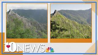 Chimney Tops in the Great Smoky Mountains show recovery from 2016 wildfire