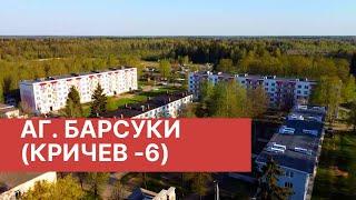 д. Барсуки (Кричев-6)