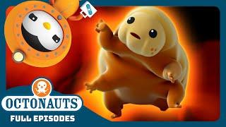 @Octonauts -  The Water Bears Rescue Mission ️ | Season 3 | Full Episodes | Cartoons for Kids