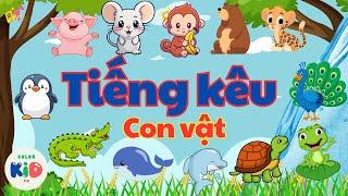 Bài hát vui cùng tiếng kêu của các con vật  Nhạc thiếu nhi sôi động | Color Kids TV