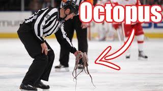 Craziest Animal Interference in Sports #4