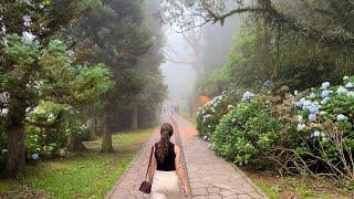 UM DIA EM GRAMADO NA SERRA GAÚCHA