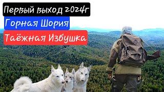 Горная Шория / Таёжная изба / Первый выход 2024г