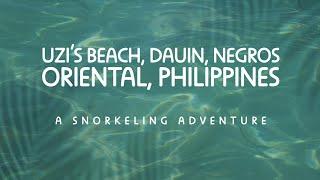 Dauin Uzi's Beach, Philippines | Snorkeling (filmed in 4K)