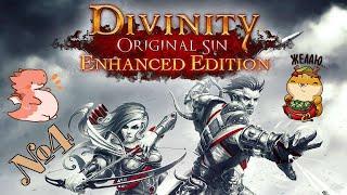 Прохождение Divinity Original Sin Enhanced Edition Серия 4 "Грабанули мэра"