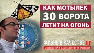 30 ворота Эмоционального центра | Как мотылек летят на огонь | Дизайне человека | Лившиц Лев