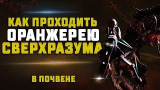 EVE Online. ГАЙД КАК ПРОХОДИТЬ ОРАНЖЕРЕЮ СВЕРХРАЗУМА. Overmind Nursery Grove