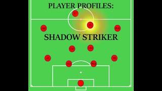 Player Roles - Shadow Striker