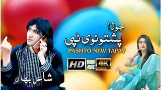 Pashto New Tapay 2024|Hd Video|Taj Mohammad Motonwall|Pashto New Song 2024