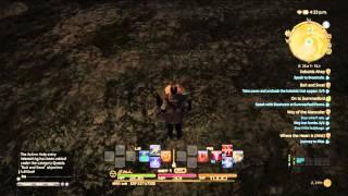 FFXIV Combat example - Marauder