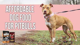 Best Affordable Dog Food for Pitbulls