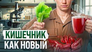 ТОП-7 продуктов для кишечника — ешь и чувствуй себя как в 20 лет!