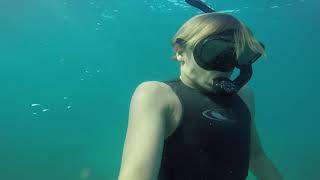 Freediving Yaroomba Beach