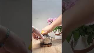 Easy orange squeezy - 3 and a half oranges
