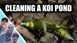 We cleaned a BEAUTIFUL KOI POND!!!