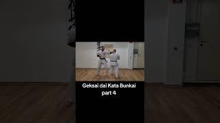 #geksai #dai #kata #bunkai in #karate #kyokushin #part #four #sune #uke #shuto #yoko #uchi