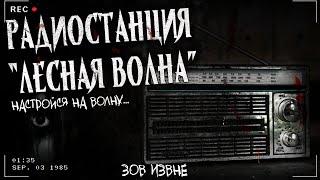 РАДИОСТАНЦИЯ "ЛЕСНАЯ ВОЛНА" | ЭКСКЛЮЗИВ | Страшная история