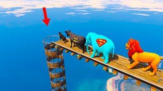 Superman Elephant, Chop, Batman Cow and Tiger dive into the water through a Pipe ( GTA 5 )