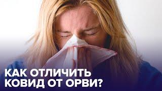 Как отличить COVID-19 от гриппа и ОРВИ? Ответы на часто задаваемые вопросы