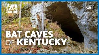 Carter Caves State Resort Park | Olive Hill, KY | Kentucky Life | KET