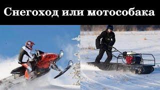 Снегоход или мотобуксировщик: что лучше?