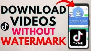 How to Download  ANY Video on Tiktok without WATERMARK (2023)