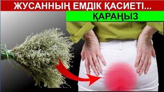 ЖУСАННЫҢ КЕРЕМЕТ ЕМДІК ҚАСИЕТІ. 41 АУРУҒА ЕМ ЕКЕН...