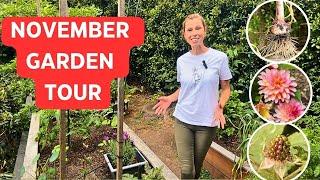 NOVEMBER Vegetable Garden Tour - Plus what to plant now! Spring Gardening in Melbourne, Australia