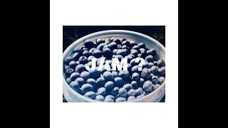 Fresh Tech Blueberry Jam!!!