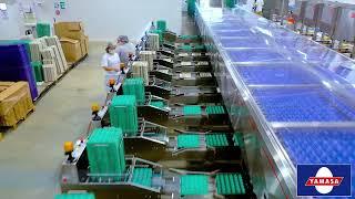 YAMASA poultry technology and automation
