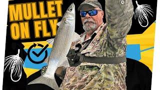 You Won't Believe How EASY It Is To Catch Mullet and Garfish On Fly!