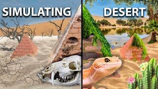 Simulating a Desert Ecosystem for my Ants  ANTTREK