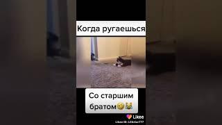 Со старшим братом 