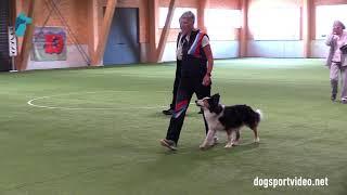 Finals - Varvara Bolshakova + Zmey / Border Collie - Russia