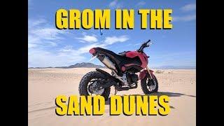 Grom in the Dunes