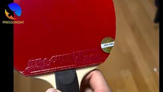 Should I Use DHS Hurricane 3 on My Backhand? A Lesson from Ma Long