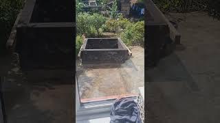 small pond #koifish #pond#garden #gardenpond