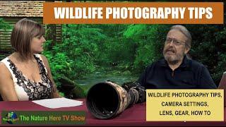 WILDLIFE PHOTOGRAPHY TIPS, ACCESSORIES, CHALLENGE,  BASICS, CAMERA SETTINGS, LENS, GEAR, HOW TO