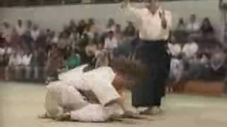 judo vs aikido