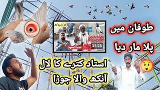 خراب موسم میں سارے کبوتر آسمان چلے گئے   | Nasir pigeon club |  Khokhar pigeons club