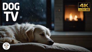 12 Hours Soothing Dogs Therapy Music  Healing Music For Easily Stressed DogsFor Your Pets