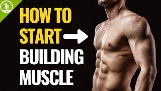 How To Start Building Muscle (For Beginners)