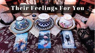 How do They Feel about You? (COFFEE and TAROT)