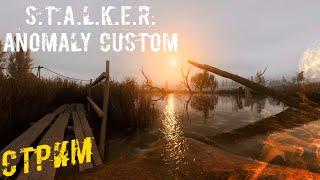 Первый Взгляд на ️ S.T.A.L.K.E.R. Anomaly Custom ️ №1