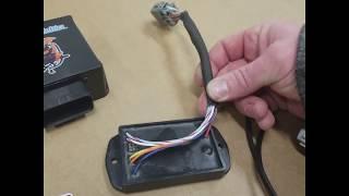 AEM Infinty 6 ECU wired direct to LSx Harness by Wiring Specialties