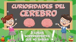 5 COSAS QUE NO SABÍAS DEL CEREBRO | CURIOSIDADES FASCINANTES PARA NIÑOS